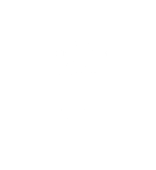 Shirt 'Handdesinfektionsmittel'