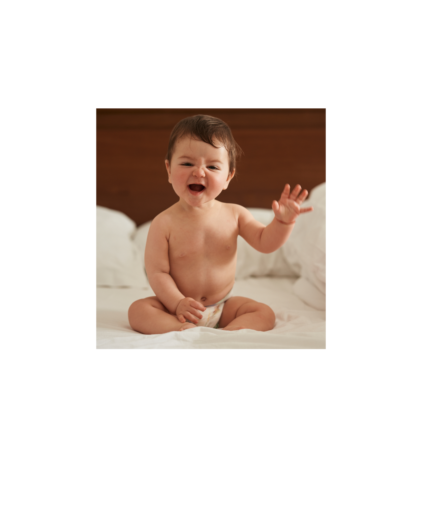 Shirt 'Habedere!'