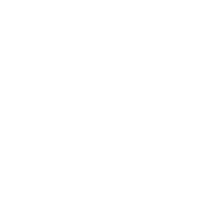 Shirt - 'Maximale Sitzplätze'