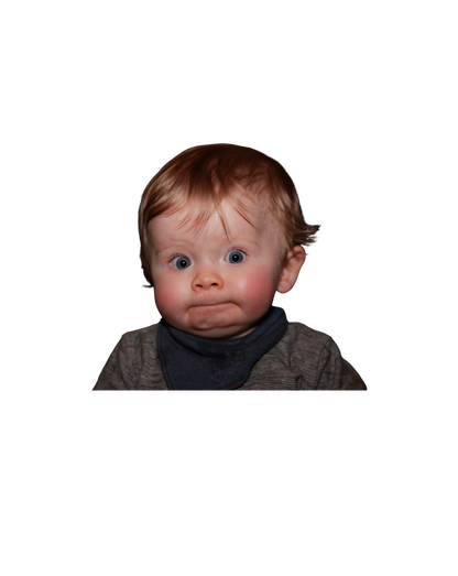 Shirt 'schau ned so bled!'